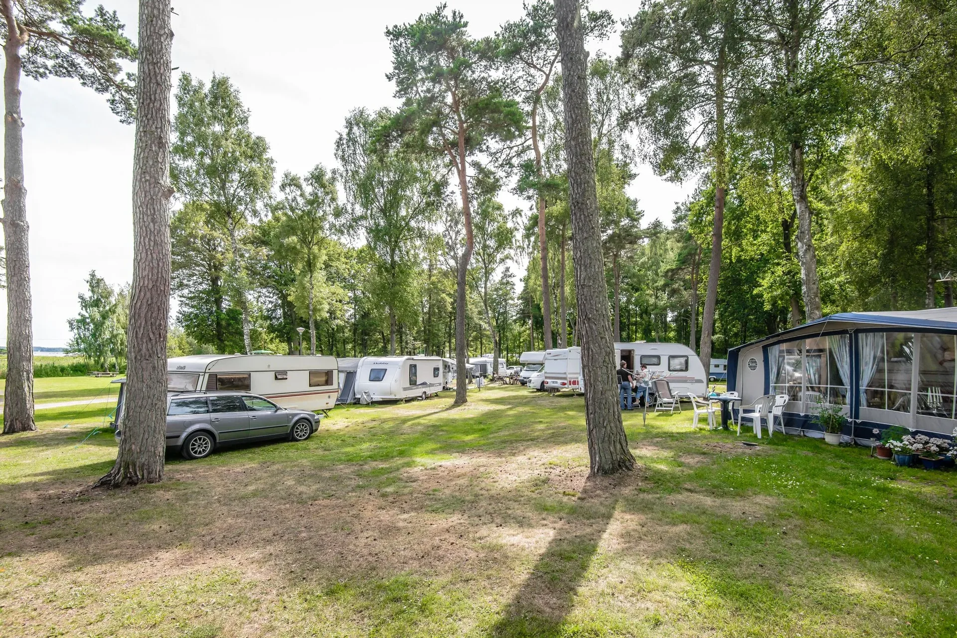 Tallskog och natur i Blekinge