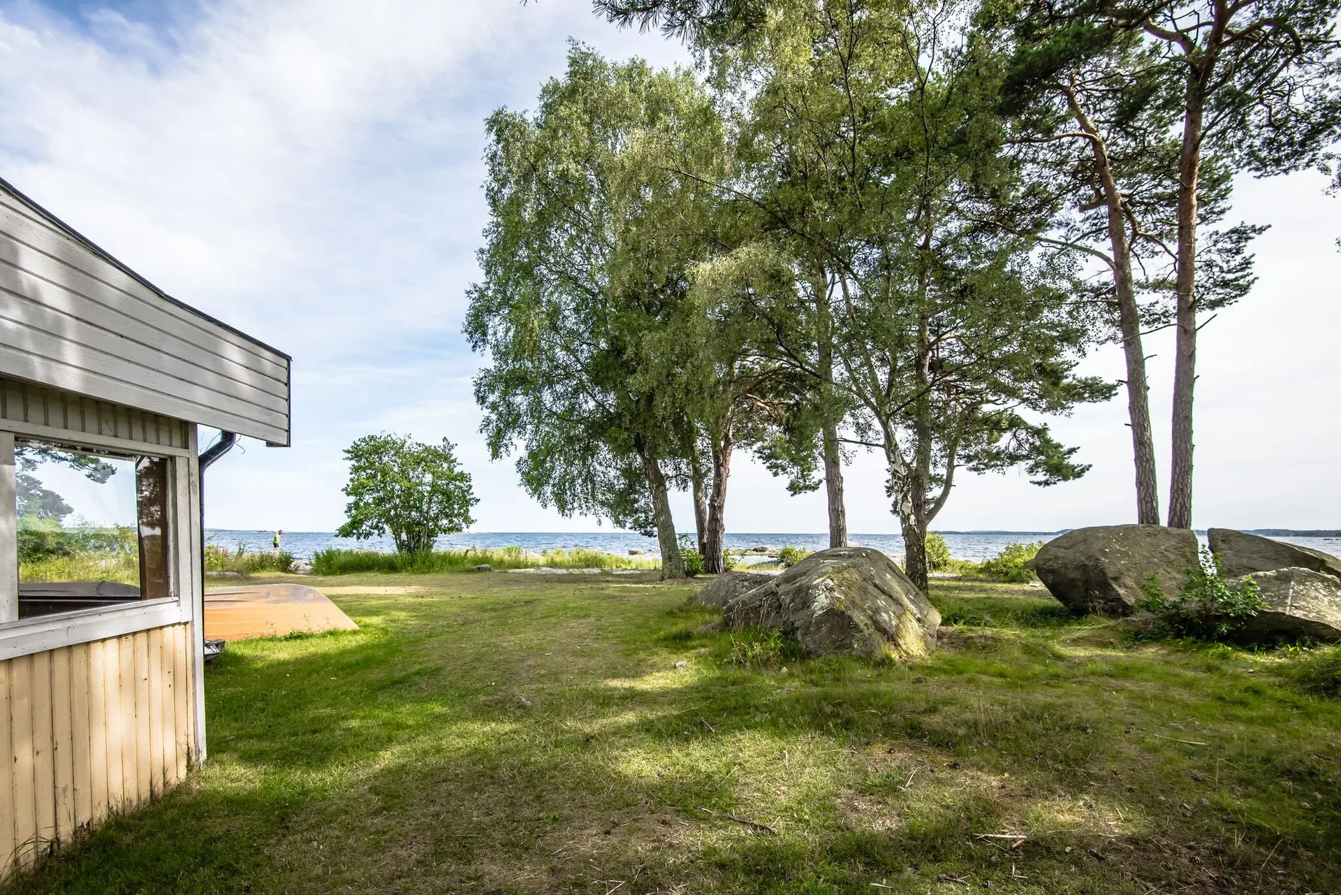 Gräsyta med björkar och stenblock ner mot havet