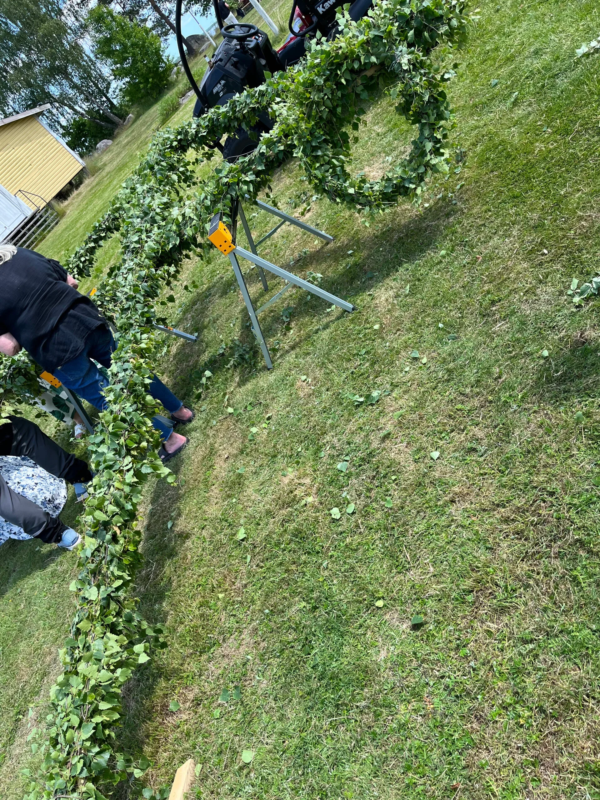 Lövad midsommarstång reses på sluttande gräsmatta