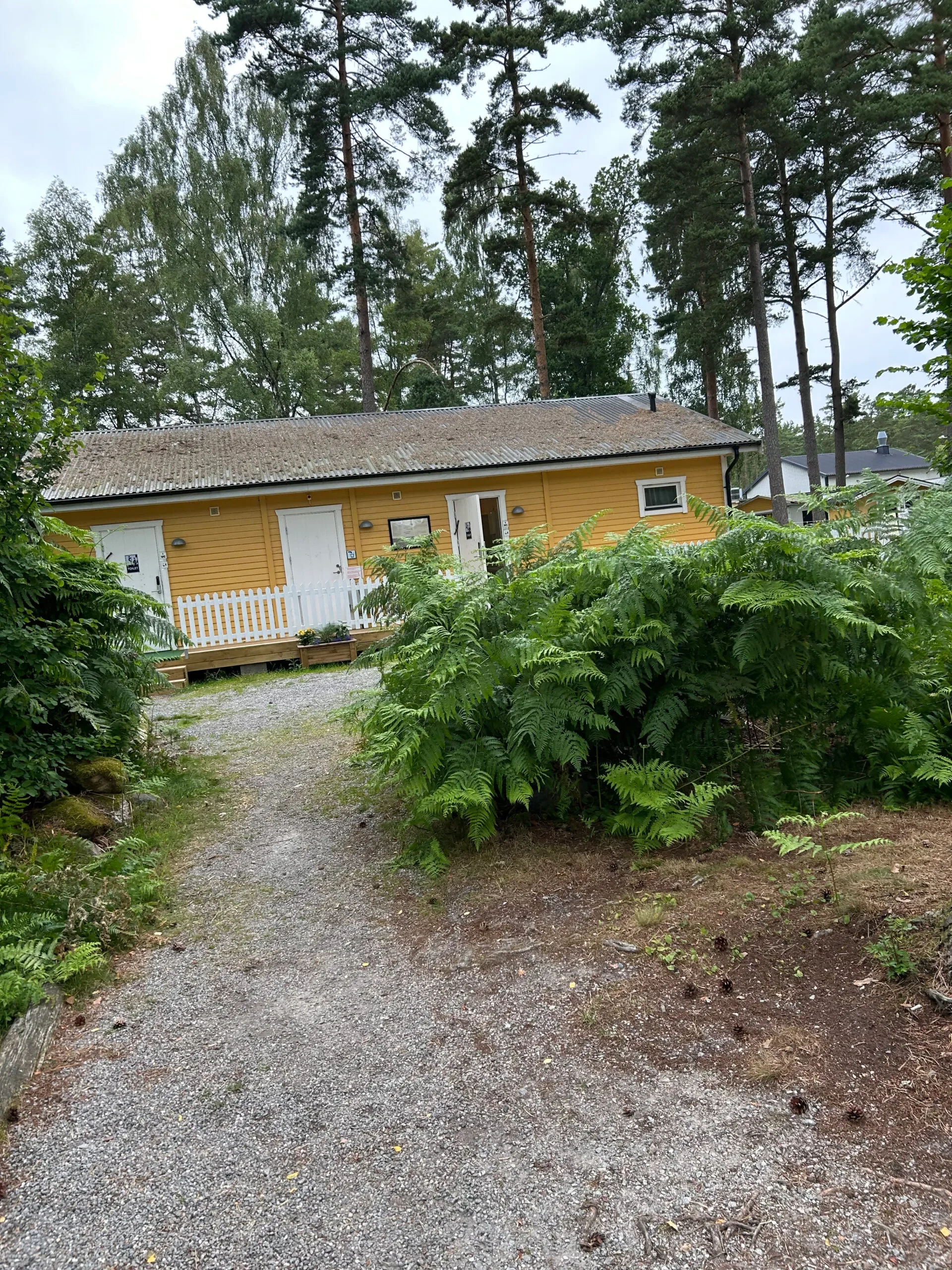Gul stuga med veranda omgiven av tallar och ormbunkar