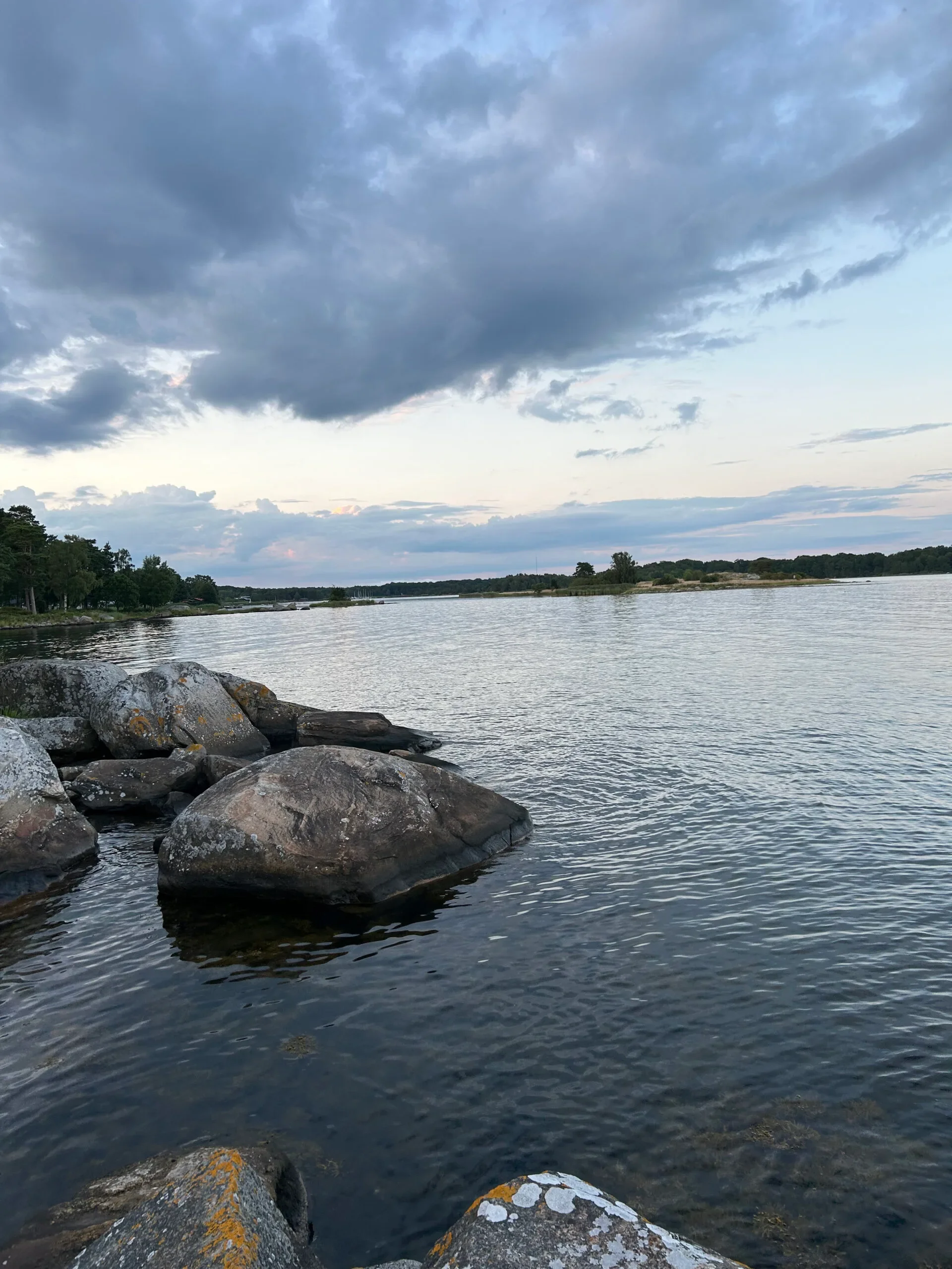 Stenar i havet med molnig himmel och skogklädd strandlinje i kvällsljus