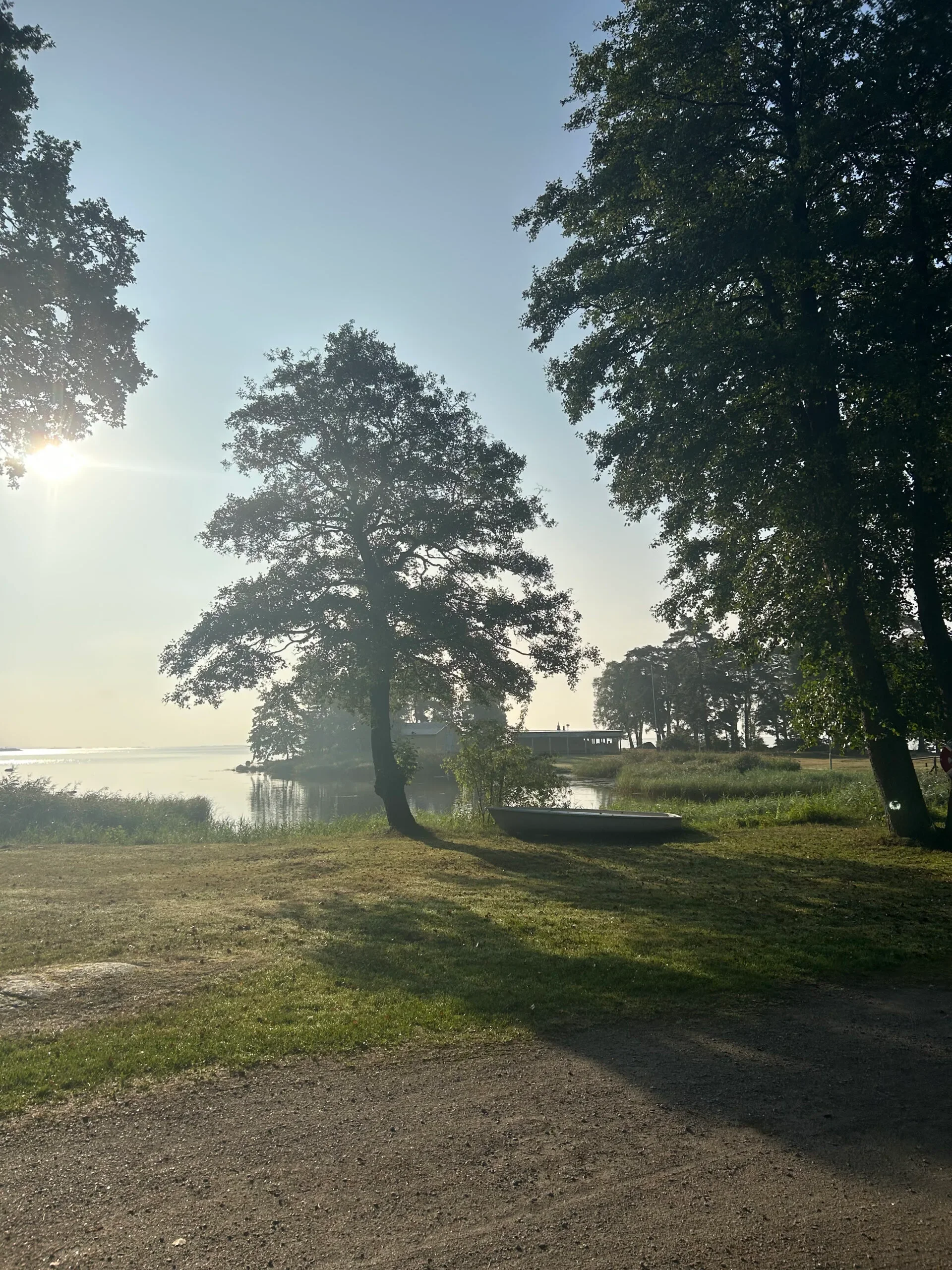 Motljus genom träd vid grusväg nära vattnet i morgondimma