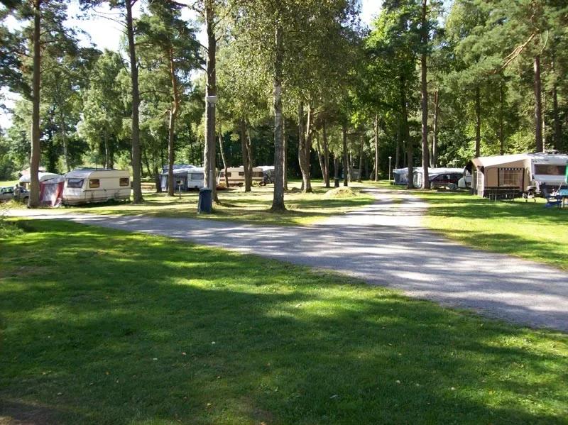 Skogig campingplats med husvagnar och förtält